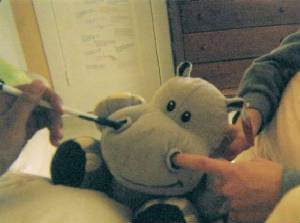 elephant103004.jpg
